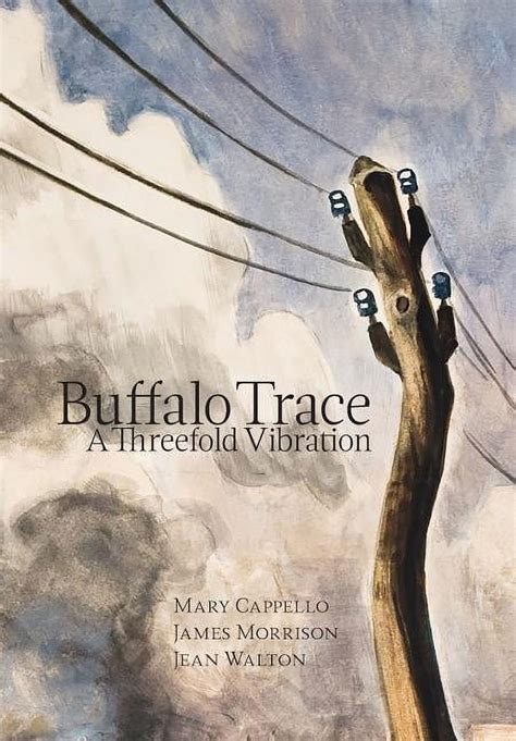 Buffalo Trace A Threefold Vibration Reader