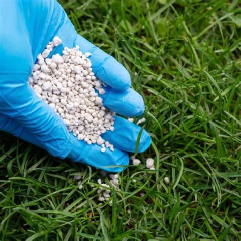 Bugleweed Fertilizer: Your 7-Step Guide to Greener Lawns