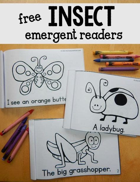 Bugs Bugs Bugs Emergent Readers Doc