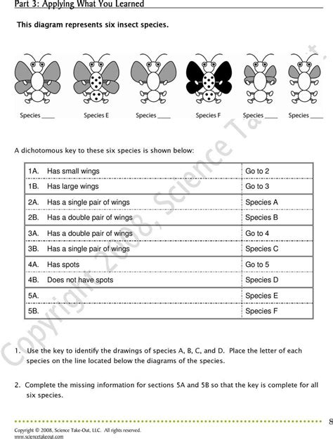 Building A Dichotomous Key Answer Keys Doc