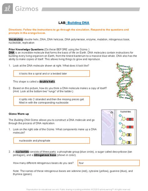 Building Dna Gizmo Answer Key Epub