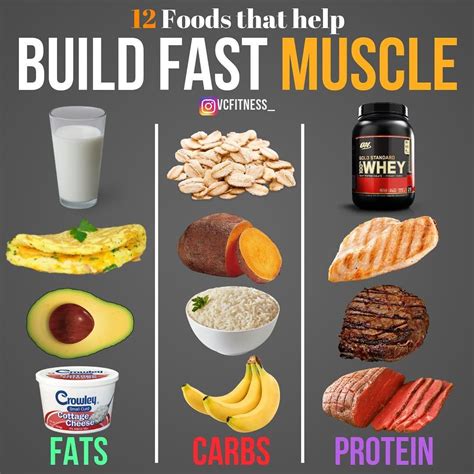 Building Muscle: The Power of Protein