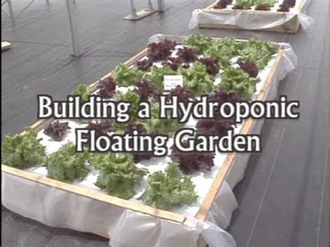 Building a Floating Hydroponic Garden Ebook Epub