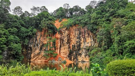 Bukit Batok Chalet: A Comprehensive Guide for Nature Enthusiasts