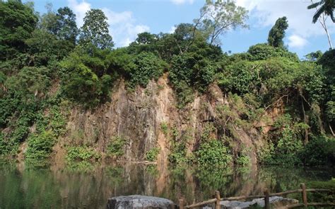 Bukit Batok Chalet: A Comprehensive Guide for Unforgettable Nature Retreats