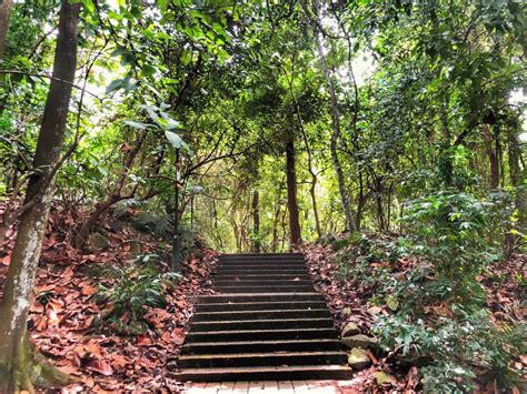 Bukit Batok Chalet: A Tranquil Escape Amidst Nature's Embrace