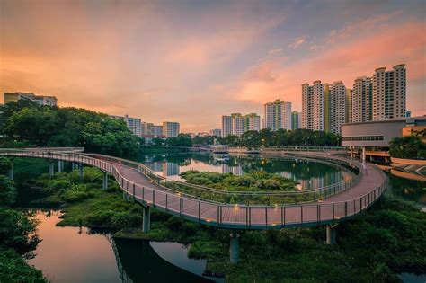 Bukit Panjang: A Thriving Hub in Singapore's West