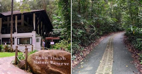 Bukit Timah Beauty World: A Canine Paradise for Dog Training and Beyond