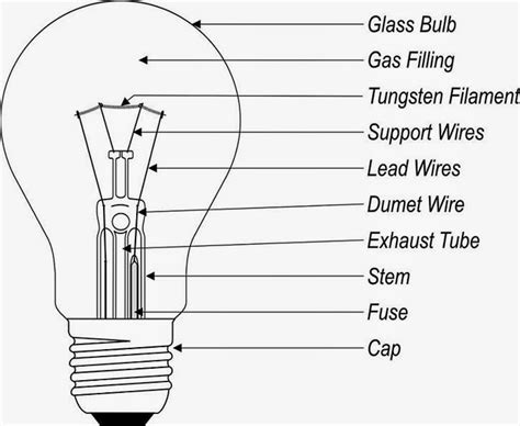 Bulb Structure: