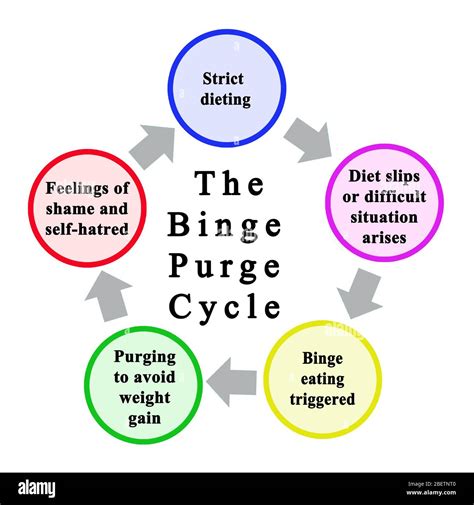 Bulimarexia The Binge: Purge Cycle Reader