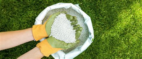 Bulk Grass Fertilizer: A Comprehensive Guide