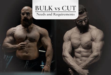 Bulk vs. Cut: Understanding the Basics