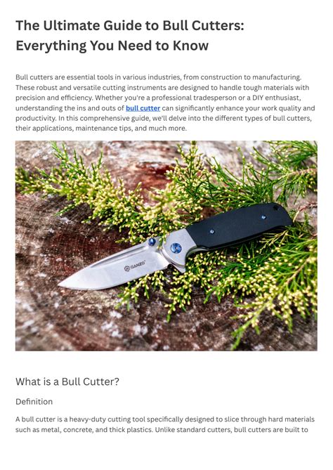 Bull Flattener 6188: The Ultimate Guide