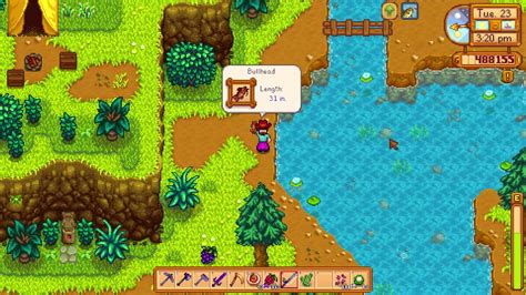 Bullhead Stardew: The Ultimate Guide to Fishing, Cooking, and Gifting