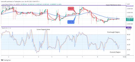 Bullish Bets on the Market's Next Upswing