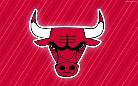 Bulls