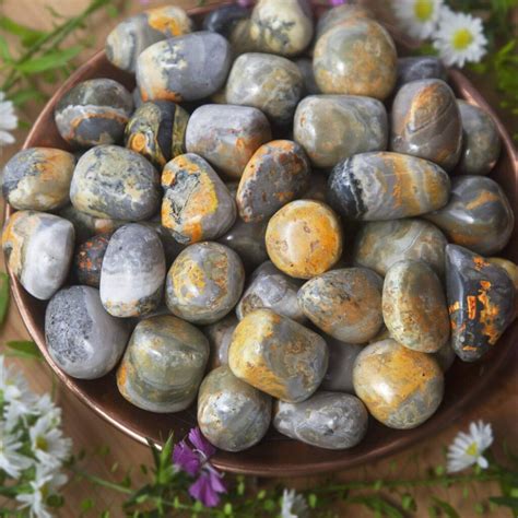 Bumble Bee Jasper Spiritual Meaning: Embracing Joy and Playfulness