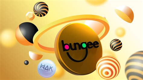 Bungee Exchange: How It Works