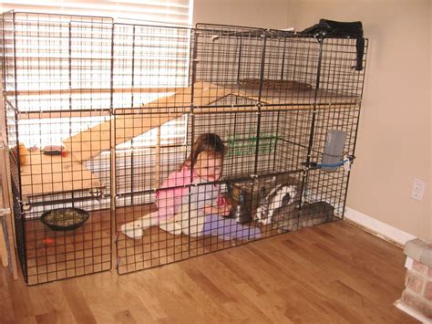 Bunny Haven: The Ultimate Guide to the Perfect Cage for Your Hopping Companion