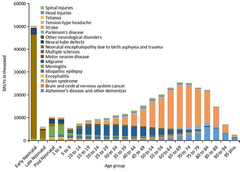 Burden of Injury in India Epub