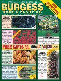Burgess Seed Catalog Request