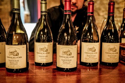 Burgundy 5: The Ultimate Guide to Making Wine at Home