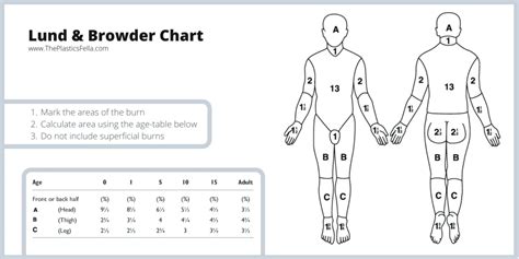 Burn Surface Area Chart