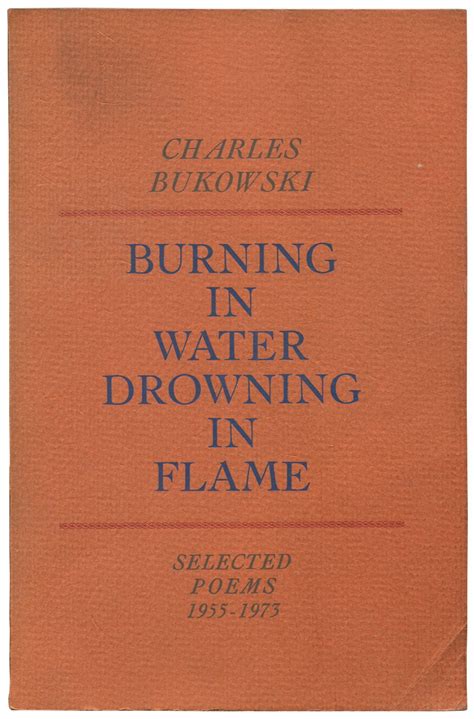 Burning in Water Drowning in Flame Kindle Editon