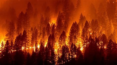 Burning in the Skies: The Rising Threat of Wildfires