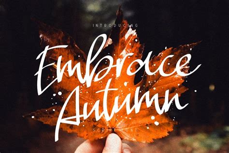 Burnt Orange: The Radiance of Autumn's Embrace