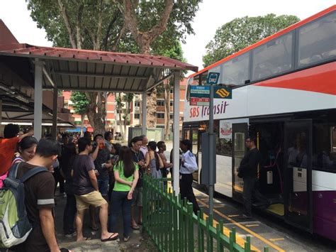 Bus Routes to Changi Point Ferry Terminal