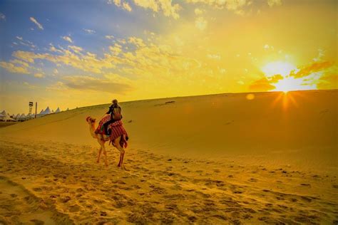 Bus Stops in the Deserts: A Comprehensive Guide to 25 Essential Oasis Across 5 Deserts