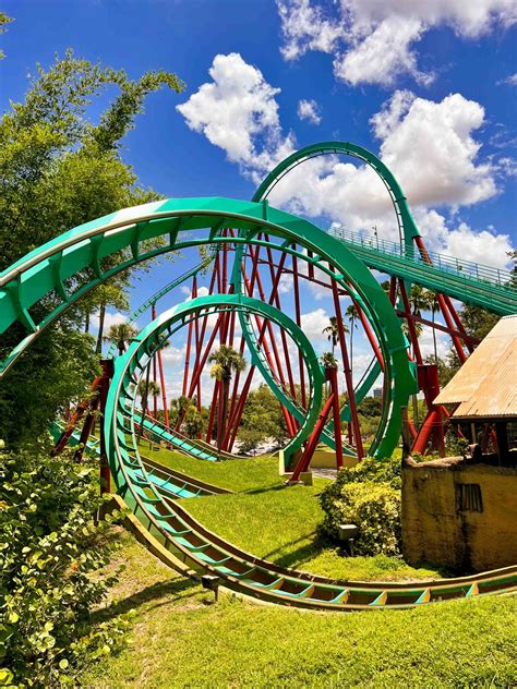 Busch Gardens Tampa Bay Reviews