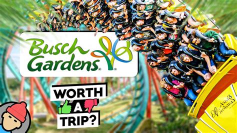 Busch Gardens Tampa Bay Reviews: 5 Must-Read Insights!