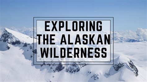 Bush Co Alaska: An Essential Guide for Exploring the Alaskan Wilderness