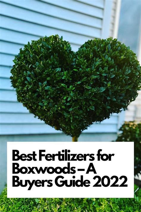 Bush Fertilizer: The Ultimate Guide to Enhancing Shrub Health