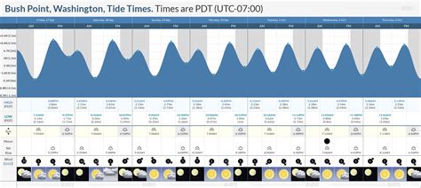 Bush Point Tide Chart