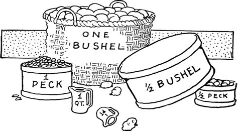 Bushel vs. Peck: A Comprehensive Comparison of Dry Volume Units