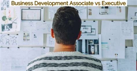 Business Development Associate vs. Business Development Executive: A Comprehensive Guide