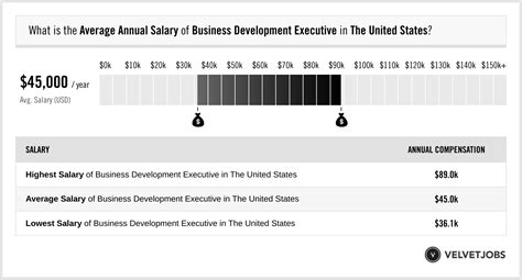 Business Development Executive Salary: A Comprehensive Guide to 2025 Earnings