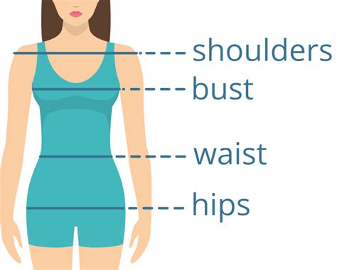 Bust and Waist: