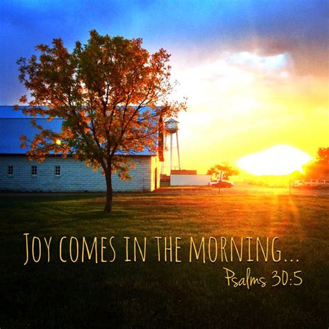 But Joy Comes In The Morning Studies On Peace PDF