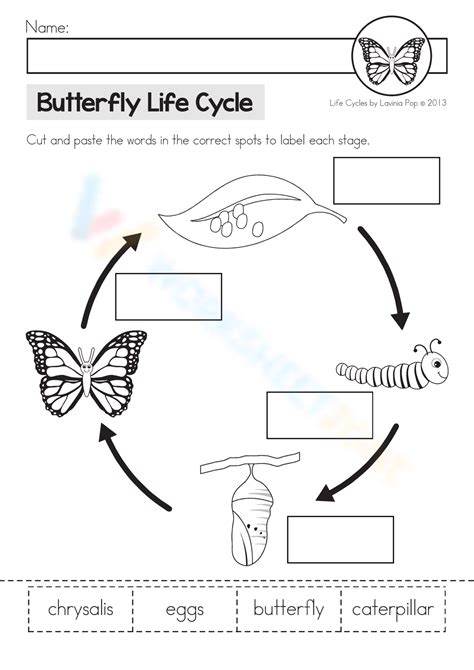 Butterfly Life Cycle Worksheet Printable