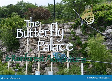 Butterfly Palace Kindle Editon