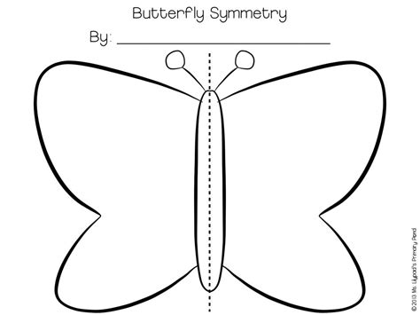 Butterfly Template Symmetry