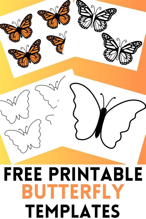 Butterfly Templates Free