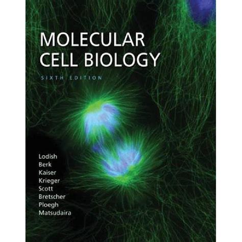 By Harvey Lodish Molecular Cell Biology 6th Edition 522007 PDF