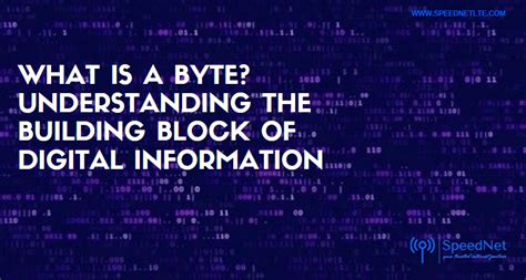 Bytes, the Building Blocks of Digital Data