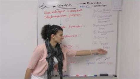 Byui Exercise Physiology Catalog 2015 2016