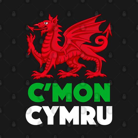 C'mon Cymru! A Comprehensive Guide to Wales Football Club